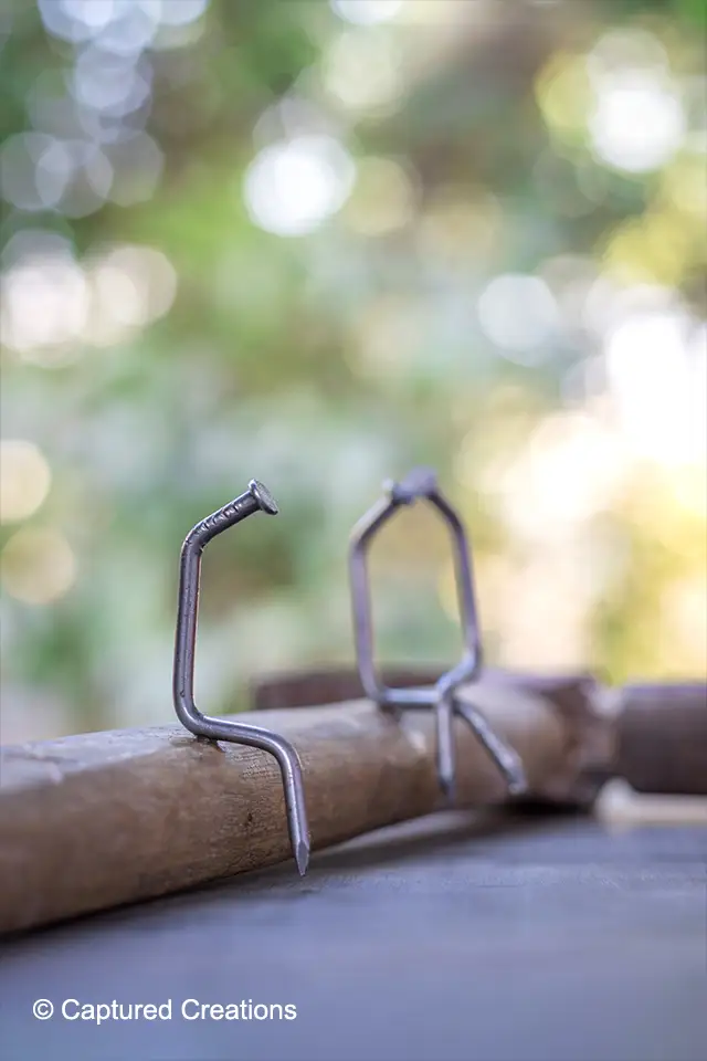 the, captured, creations, creation, sudip, biswas, captured creations, sudip biswas, photography, cinematography, filmmaker, photographer, cinematographer, artwork, green, wooden, screw, nail, isolated, iron, background, object, steel, tool, white, illustration, collection, bolts, element, shiny, metal, equipment, head, industry, hardware, creative, creativity, art, black, concept, vintage, design, bright, colorful, color, idea, vibrant, old, space, modern, abstract, colored, people, side, view, person, style, single, clothes, flat, couples, wallpaper, bokeh, kolkata, west, bengal, india